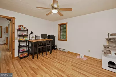 254 Little Mountain Road, Oakland, MD 21550 - Photo 35