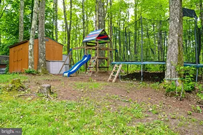 254 Little Mountain Road, Oakland, MD 21550 - Photo 39