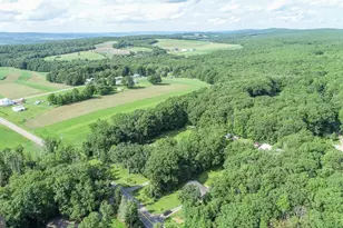 9556 New Germany Rd, Grantsville, MD 21536 - Photo 3