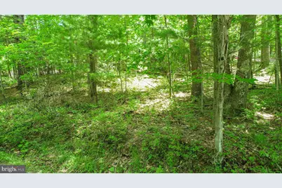 N Glade Road, Swanton, MD 21561 - Photo 15