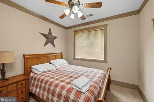 110 Northlake Dr, Mc Henry, MD 21541 - Photo 31