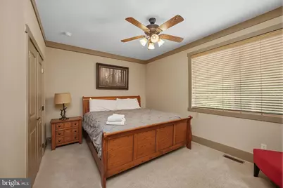 110 Northlake Drive, Mc Henry, MD 21541 - Photo 53