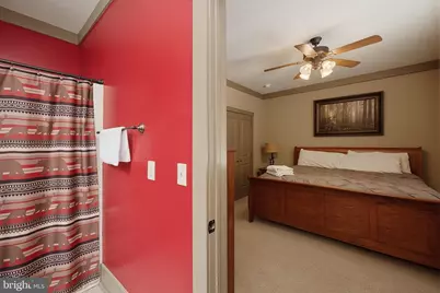 110 Northlake Drive, Mc Henry, MD 21541 - Photo 59