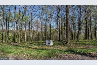 Lot 4 Lodestone Way, Mc Henry, MD 21541 - Photo 3
