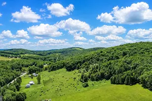 1651 Swanton Rd, Swanton, MD 21561 - Photo 81