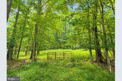 Lot B Loch Deer Road, Oakland, MD 21550 - Photo 5