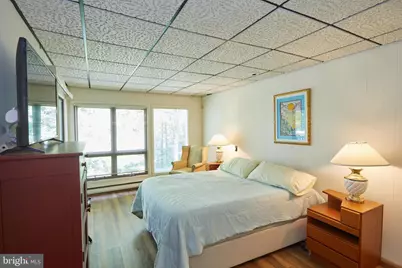 193 Red Run Road #1-B-3, Oakland, MD 21550 - Photo 21