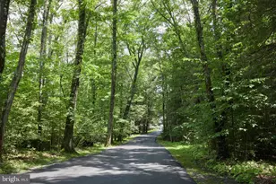 193 Red Run Rd, Oakland, MD 21550 - Photo 55