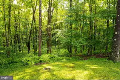 1951 Mosser Road, Mc Henry, MD 21541 - Photo 7