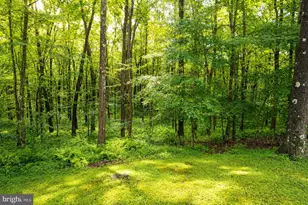 1951 Mosser Rd, Mc Henry, MD 21541 - Photo 7