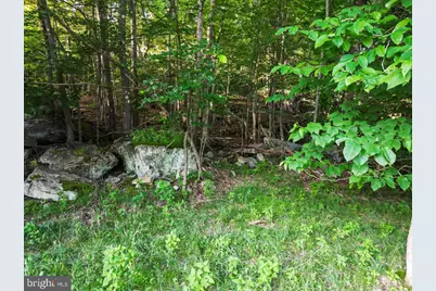 Lot 22 Marsh Hill Road, Mc Henry, MD 21541 - Photo 15