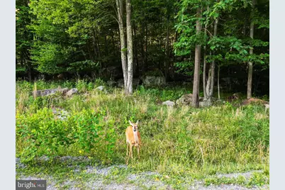Lot 22 Marsh Hill Road, Mc Henry, MD 21541 - Photo 11
