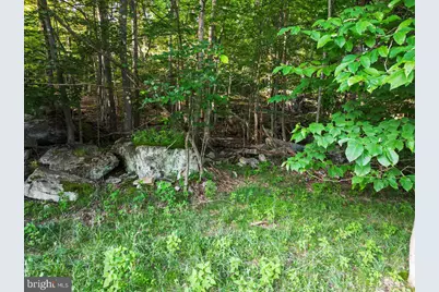 Lot 22 Marsh Hill Road, Mc Henry, MD 21541 - Photo 13