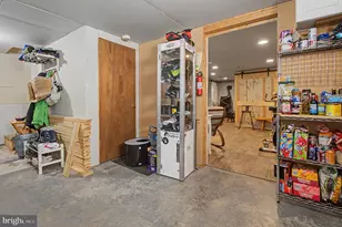 595 Pysell Crosscut Rd, Deer Park, MD 21550 - Photo 47