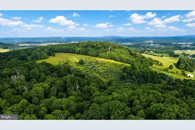 97 Acres Lot C Garrett Road, Oakland, MD 21550 - Photo 13