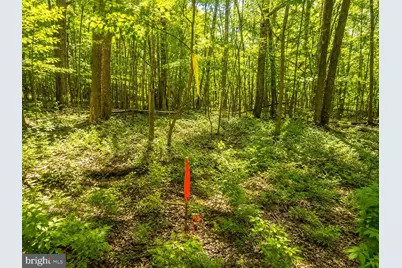 97 Acres Lot C Garrett Road, Oakland, MD 21550 - Photo 21