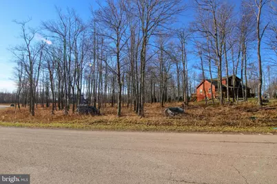 Lot 50 Biltmore Ridge Trail, Mc Henry, MD 21541 - Photo 5