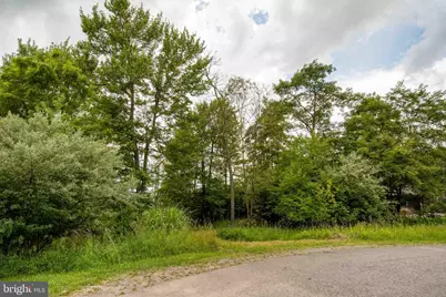 Lot 87 Lower Camp Road, Mc Henry, MD 21541 - Photo 7