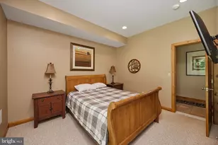 250 Lake Pointe Dr, Mc Henry, MD 21541 - Photo 65