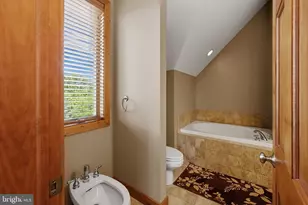 250 Lake Pointe Dr, Mc Henry, MD 21541 - Photo 37