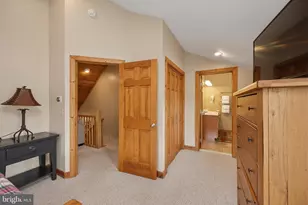 250 Lake Pointe Dr, Mc Henry, MD 21541 - Photo 45
