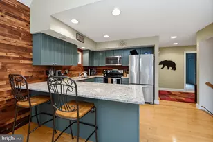 86 Shingle Camp Terrace, Mc Henry, MD 21541 - Photo 23