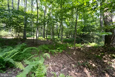 639 Hemlock Road, Grantsville, MD 21536 - Photo 49