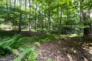 639 Hemlock Rd, Grantsville, MD 21536 - Photo 49