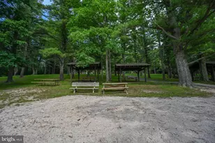 527 Deer Run Ln, Swanton, MD 21561 - Photo 107