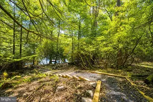 2153 Rock Lodge Rd, Mc Henry, MD 21541 - Photo 3