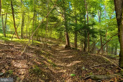 2153 Rock Lodge Road, Mc Henry, MD 21541 - Photo 77