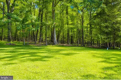 718 Boy Scout Crosscut Road, Oakland, MD 21550 - Photo 37