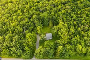 718 Boy Scout Crosscut Rd, Oakland, MD 21550 - Photo 49