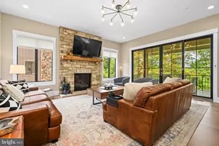138 Ridge Run Rd, Mc Henry, MD 21541 - Photo 23