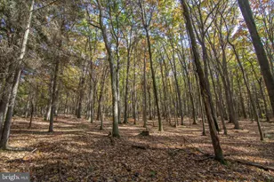 106 Lodge Cir, Swanton, MD 21561 - Photo 129
