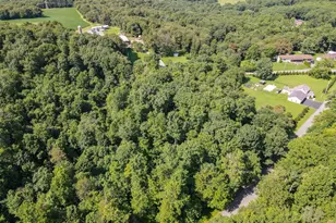 265 Fearer Rd, Friendsville, MD 21531 - Photo 75