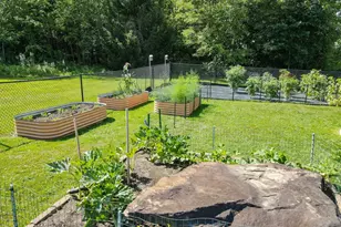 265 Fearer Rd, Friendsville, MD 21531 - Photo 63