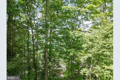 18 Mountainside Court, Oakland, MD 21550 - Photo 77