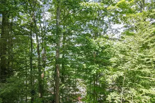 18 Mountainside Ct, Oakland, MD 21550 - Photo 77