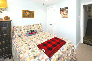 116 Wanderer Ln, Oakland, MD 21550 - Photo 53
