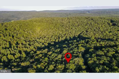 Lot 8 Stool Rock Road, Oakland, MD 21550 - Photo 9