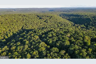 Lot 8 Stool Rock Road, Oakland, MD 21550 - Photo 13