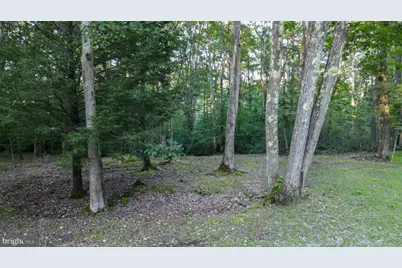 Lot 8 Stool Rock Road, Oakland, MD 21550 - Photo 5