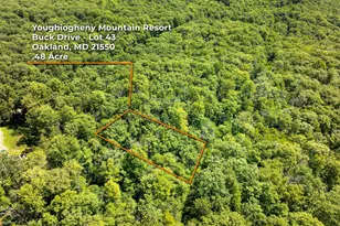 Grey Squirrel Rd, Oakland, MD 21550 - Photo 1