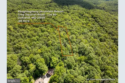 Grey Squirrel Road, Oakland, MD 21550 - Photo 5