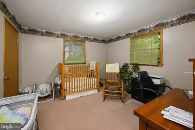 6467 Sang Run Road, Mc Henry, MD 21541 - Photo 33