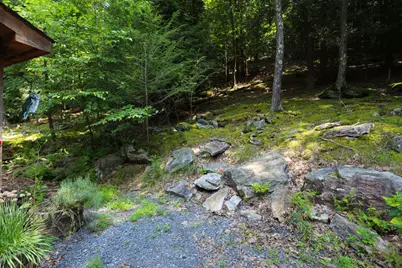 333 Sloan Tract Road, Oakland, MD 21550 - Photo 49