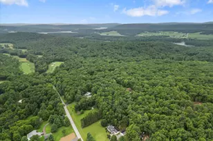 167 Sky Valley Rd, Swanton, MD 21561 - Photo 41