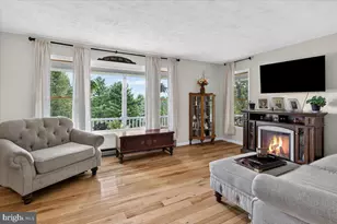 167 Sky Valley Rd, Swanton, MD 21561 - Photo 3