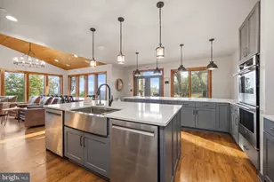 50 & 66 Ridge Run Rd, Mc Henry, MD 21541 - Photo 25